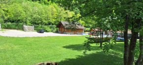 Holiday house 